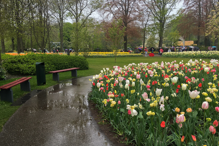 Keukenhof gardens in the rain