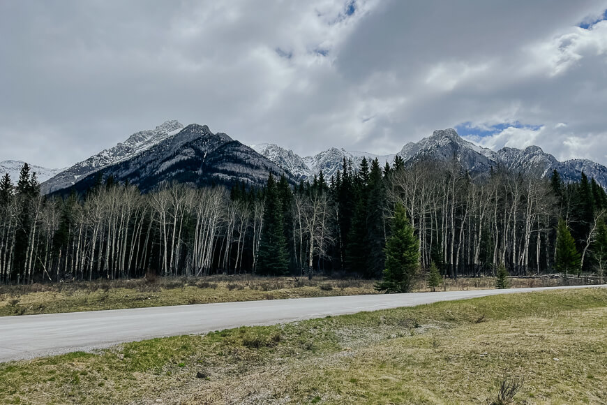 Hillsdale Meadows Viewpoint