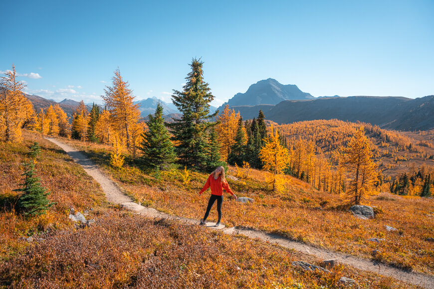 travel to alberta canada