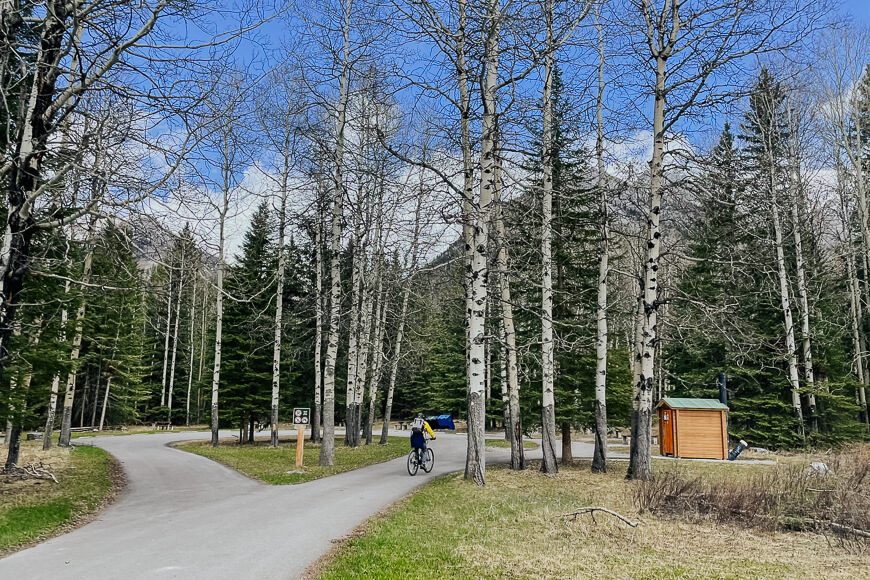 Sawback Day Use Area, Banff, Alberta, Canada along the Bow Valley Parkway