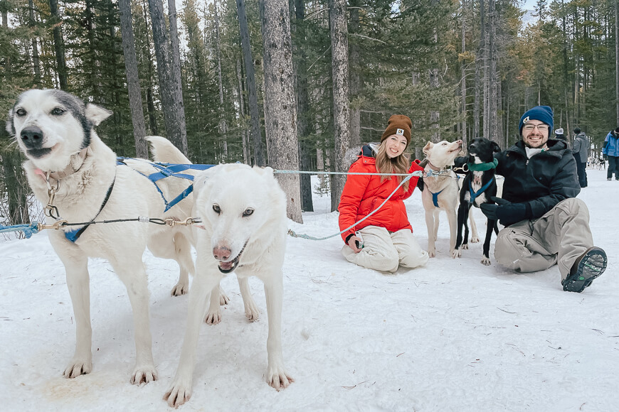 Boy and girl posing with 4 sled dogs while dog sledding in Canmore Alberta in winter