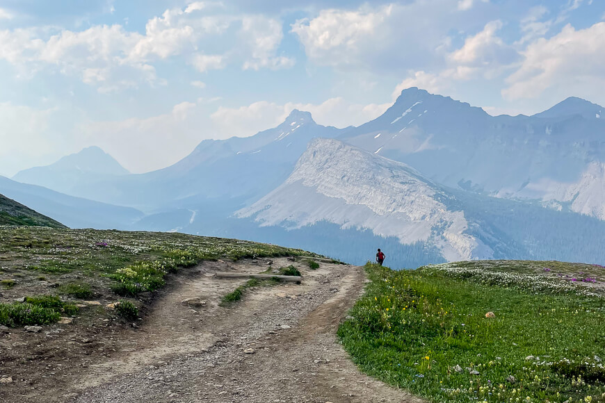 travel to alberta canada