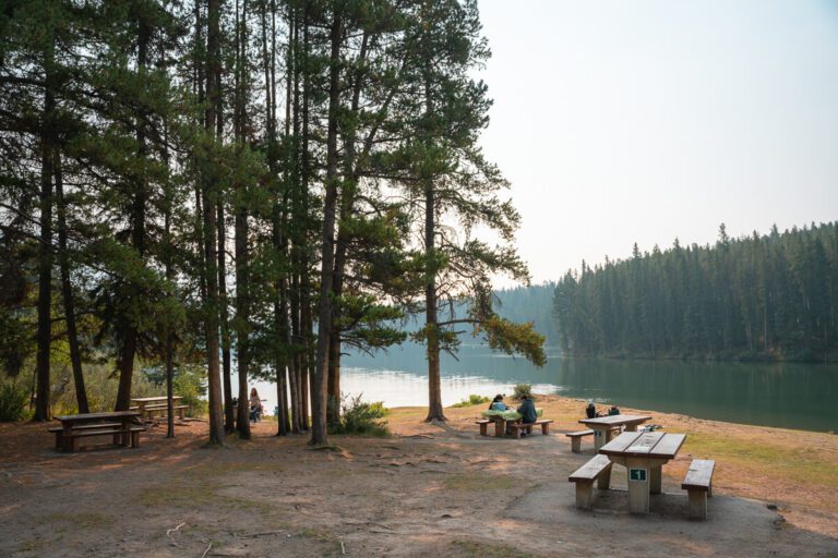 Johnson Lake: Your Ultimate Guide (2026)