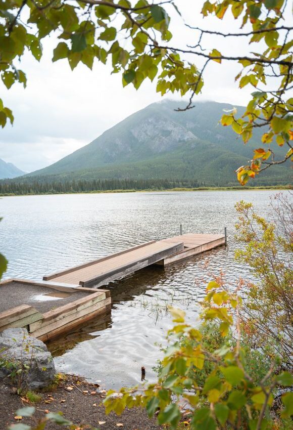 Trees shaping the photo with a dock in the middle of photo and mountain in the background at Vermilion Lakes